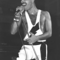 036 BW Freddie Mercury 1984